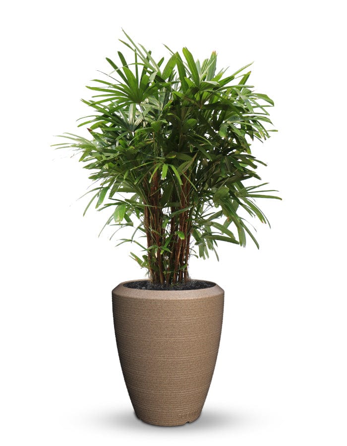 Sereno planters Piatto Slim