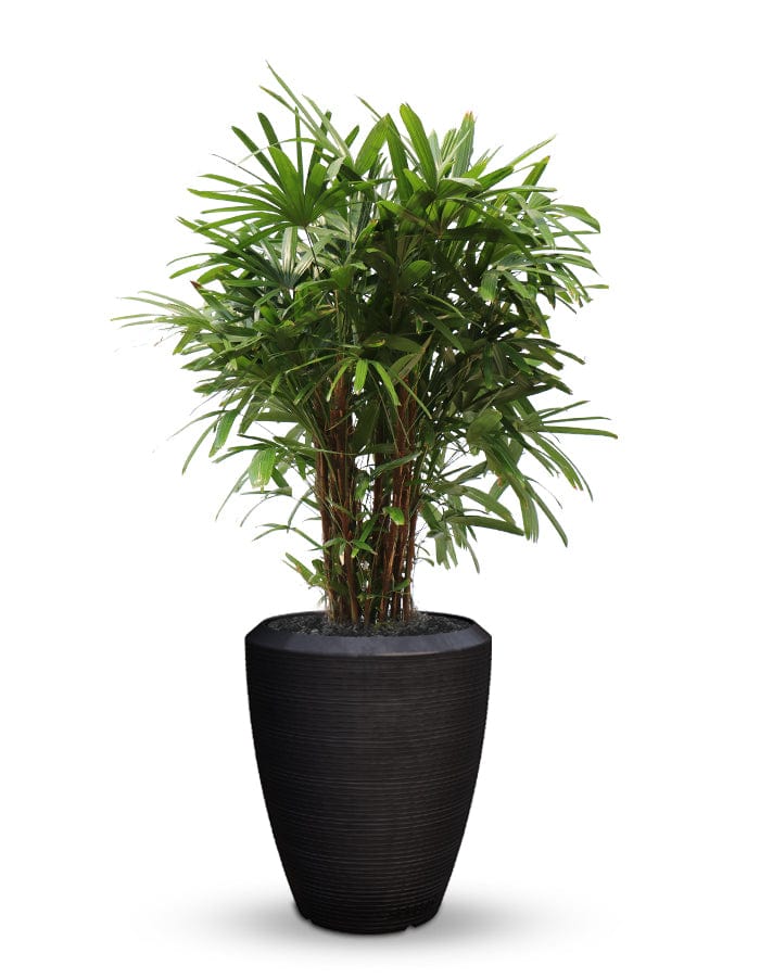 Sereno planters Piatto Slim