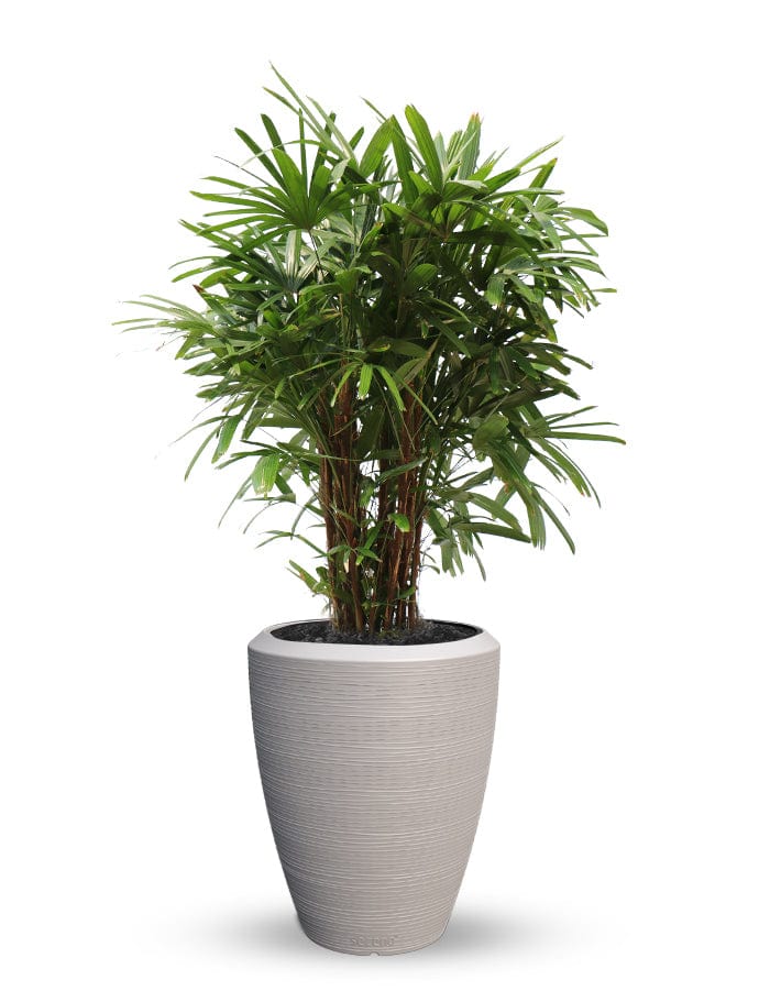 Sereno planters Piatto Slim