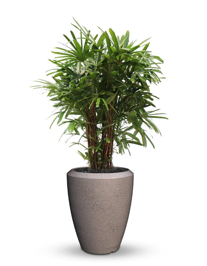 Sereno planters Piatto Slim