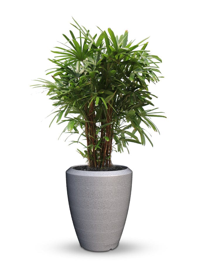 Sereno planters Piatto Slim