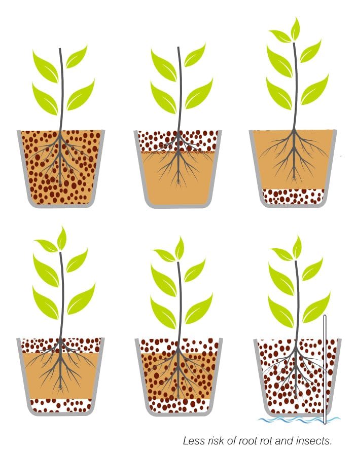 Sereno planters Tray 5Kg / Brown Leca Balls