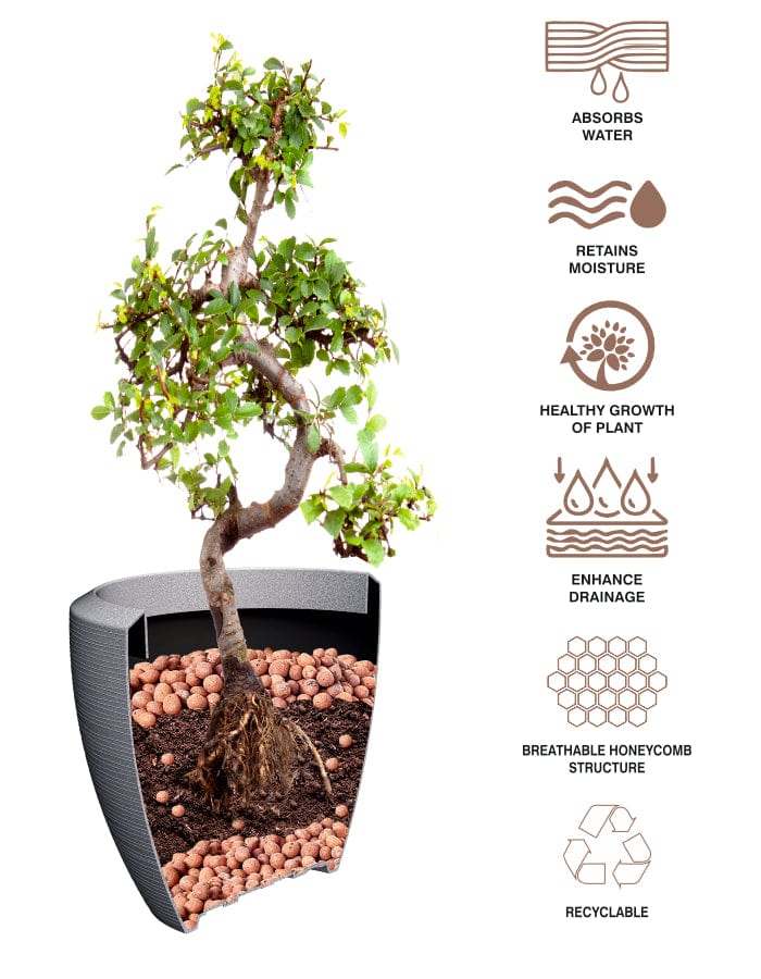 Sereno planters Tray 5Kg / Brown Leca Balls