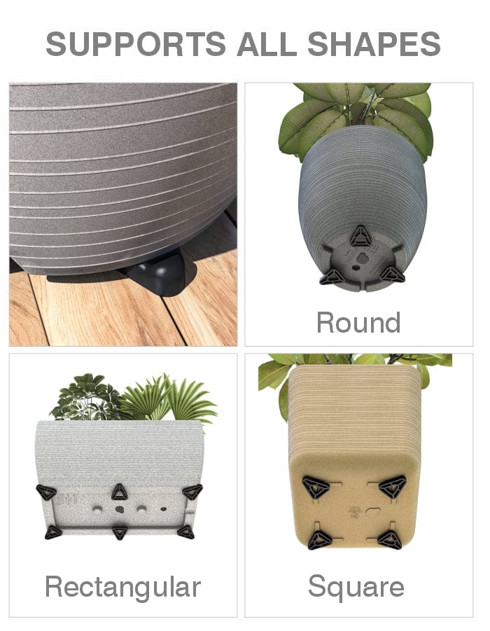 Sereno planters Tray Planter Toes  (Pack of 12)