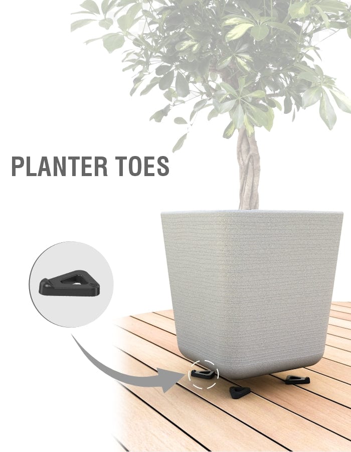 Sereno planters Tray Planter Toes  (Pack of 12)