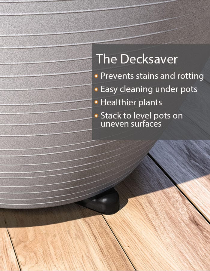 Sereno planters Tray Planter Toes  (Pack of 12)