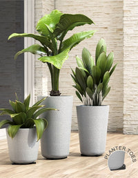 Sereno planters Tray Planter Toes  (Pack of 12)