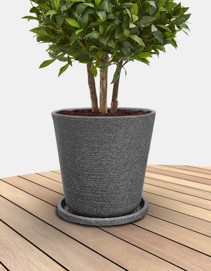 Sereno planters Tray Round Bottom Tray