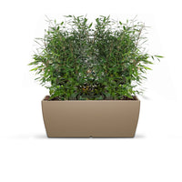 LARA - Medium Planter