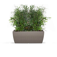 LARA - Medium Planter