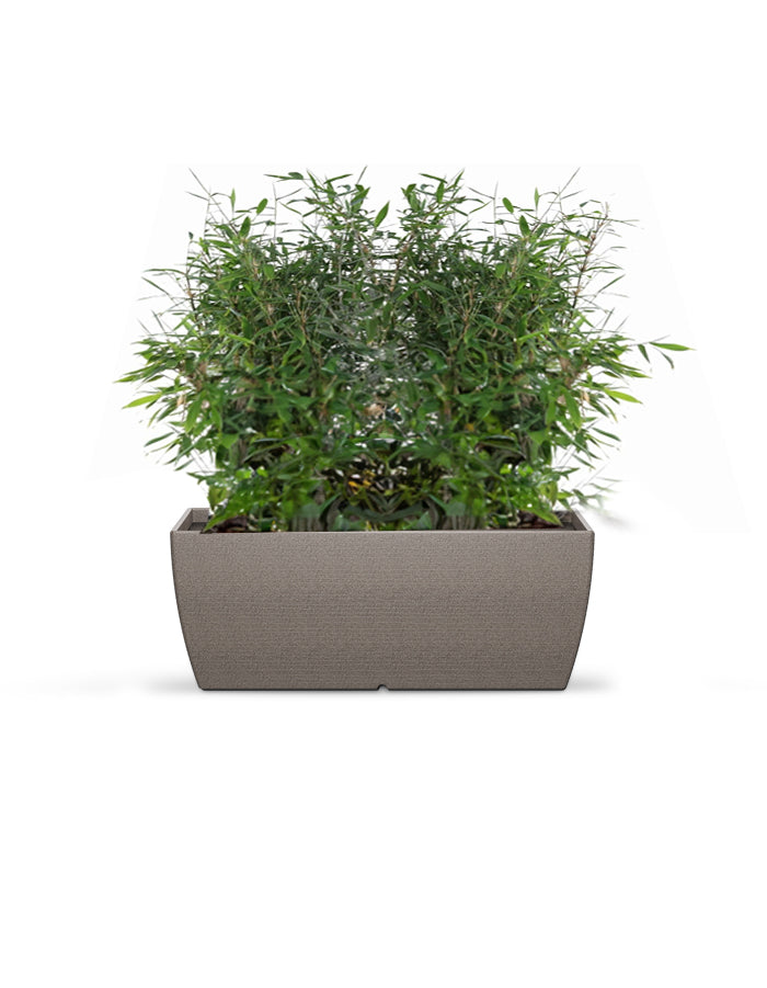 LARA - Medium Planter