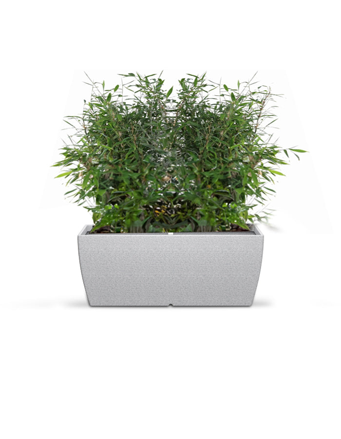 LARA - Medium Planter