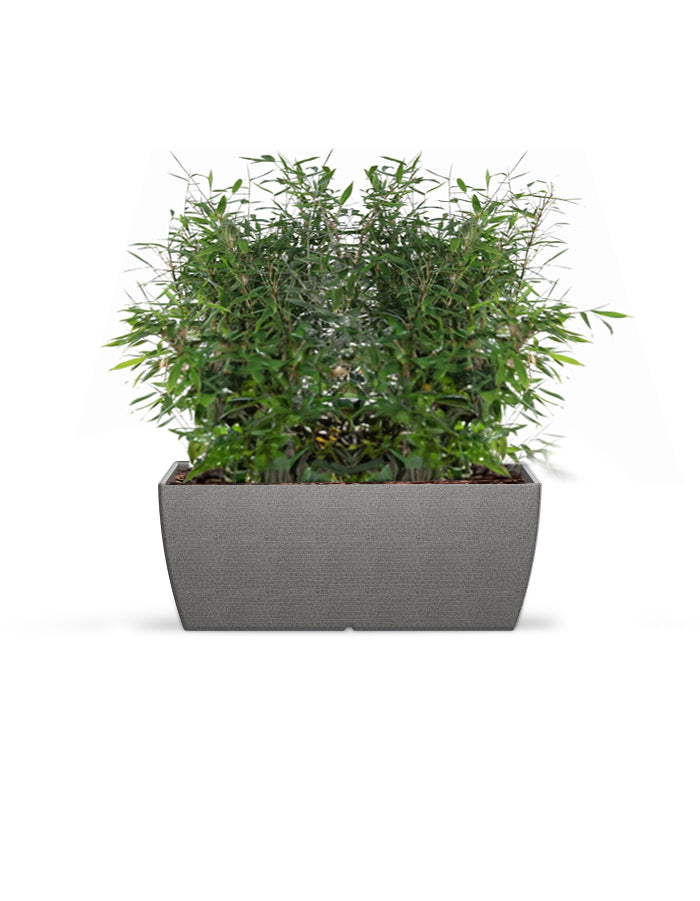 LARA - Medium Planter