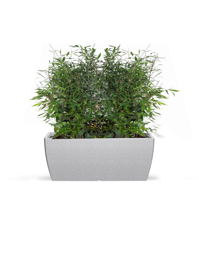 LARA - Medium Planter