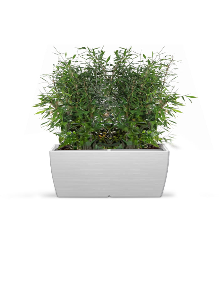 LARA - Medium Planter