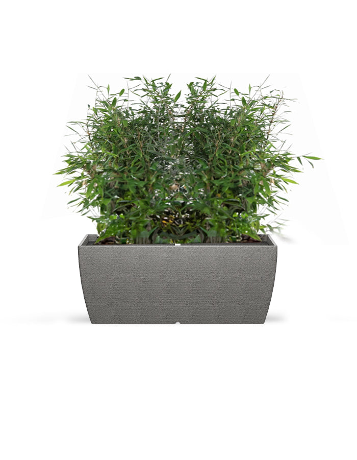 LARA - Medium Planter