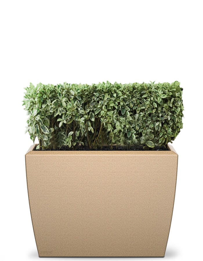 Linea Extra Large Planter