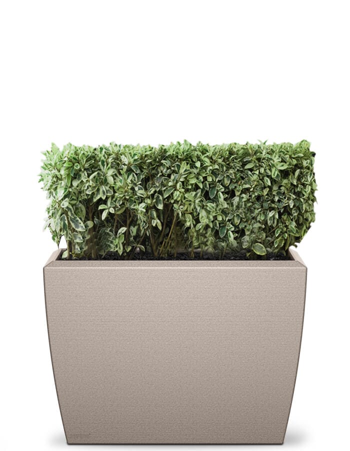 Linea Extra Large Planter