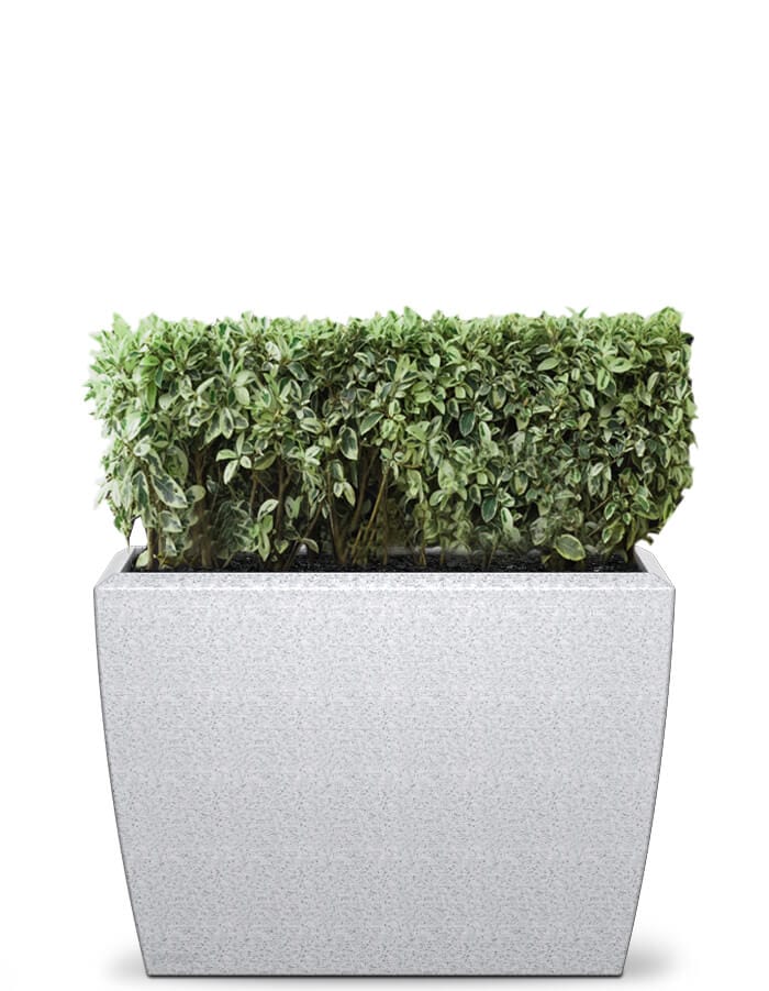 Linea Extra Large Planter