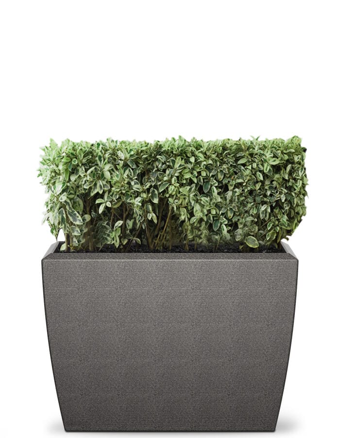 Linea Extra Large Planter