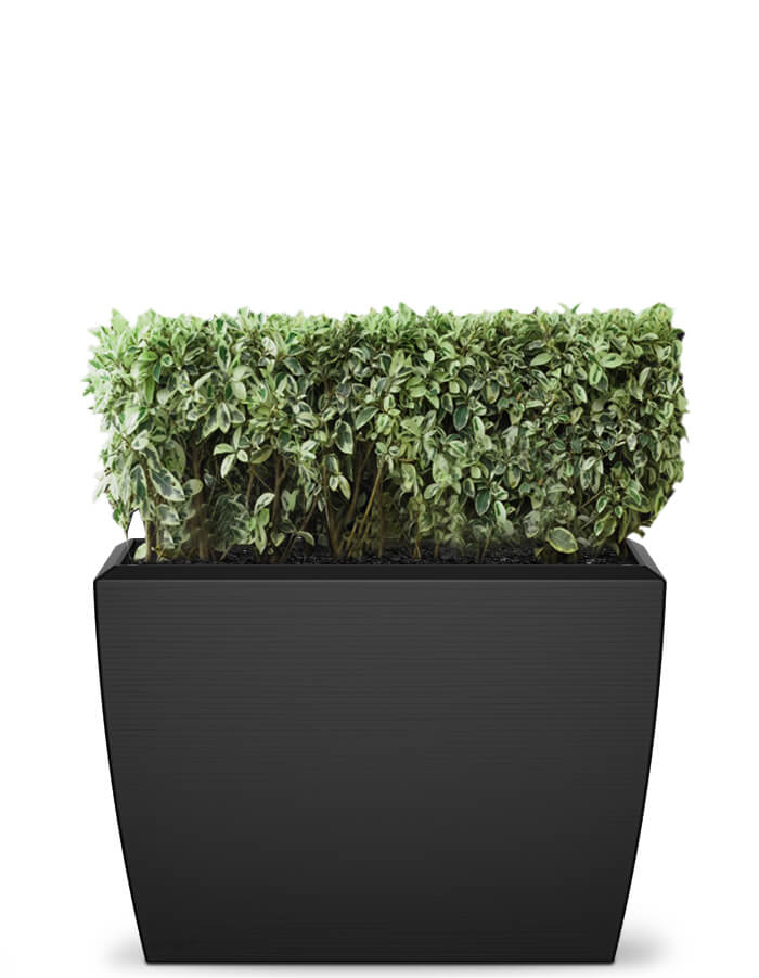 Linea Extra Large Planter