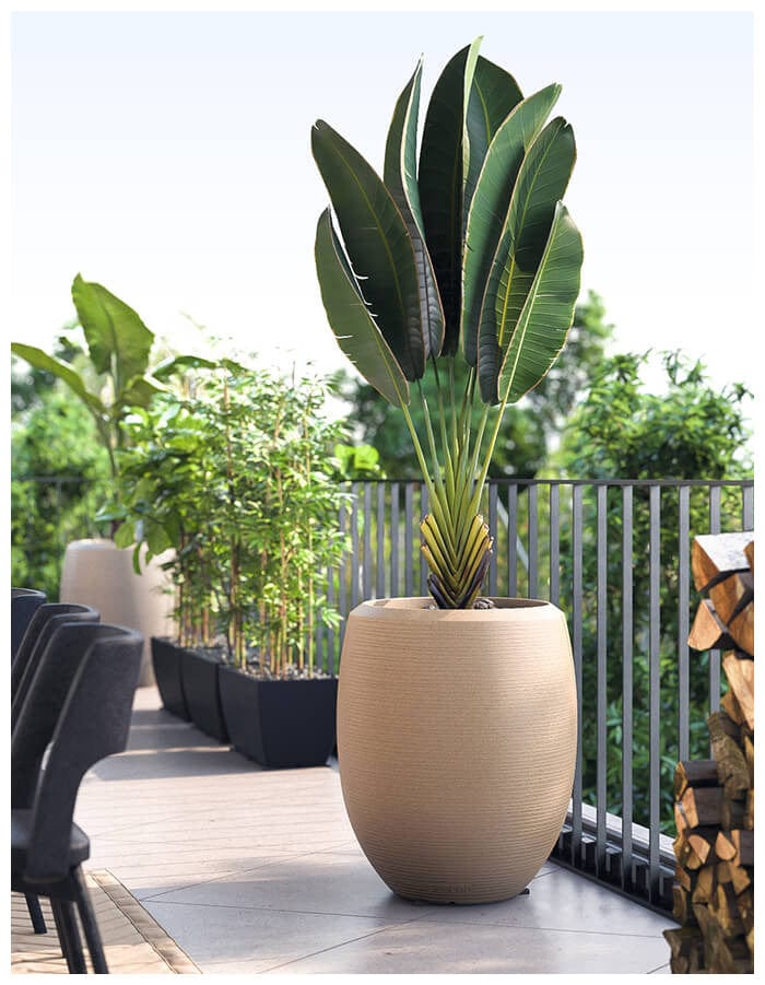 Enzo Large Planter