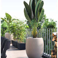 Enzo Large Planter