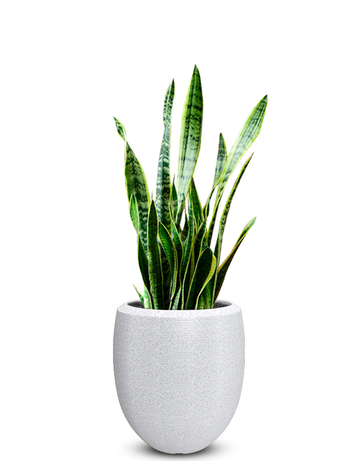 Enzo Large Planter