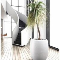 Enzo Large Planter