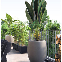 Enzo Large Planter