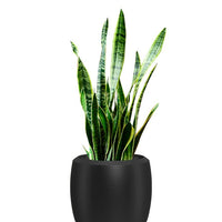 Enzo Large Planter