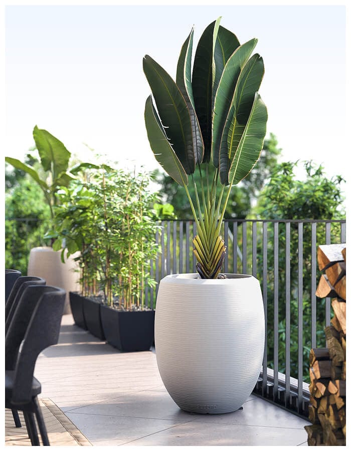 Enzo Large Planter