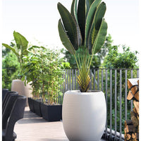 Enzo Large Planter