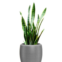 Enzo Large Planter