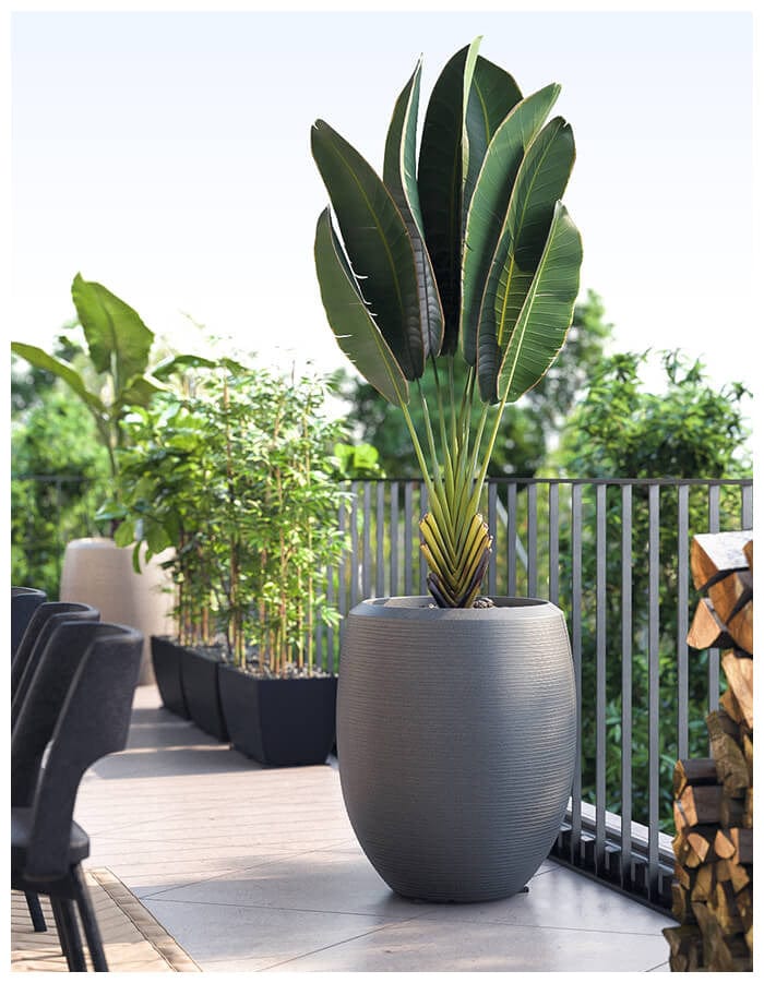 Enzo Large Planter