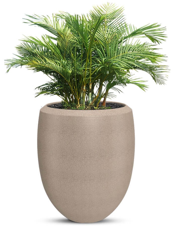 Enzo Large Planter