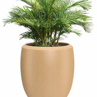 Enzo Large Planter