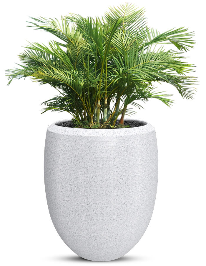 Enzo Large Planter