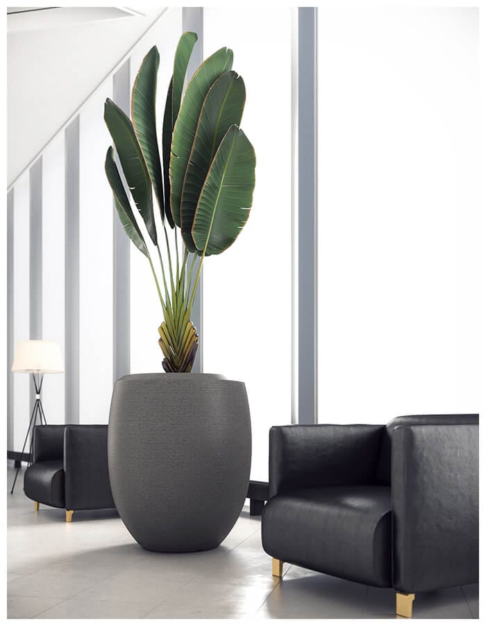 Enzo Large Planter