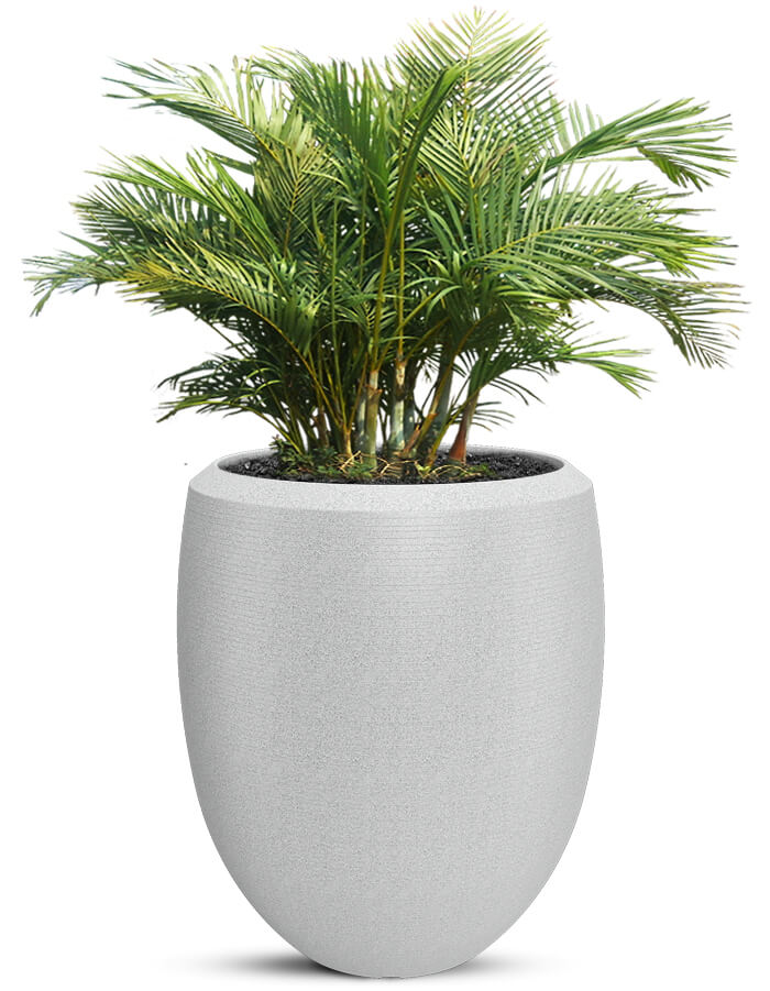 Enzo Large Planter