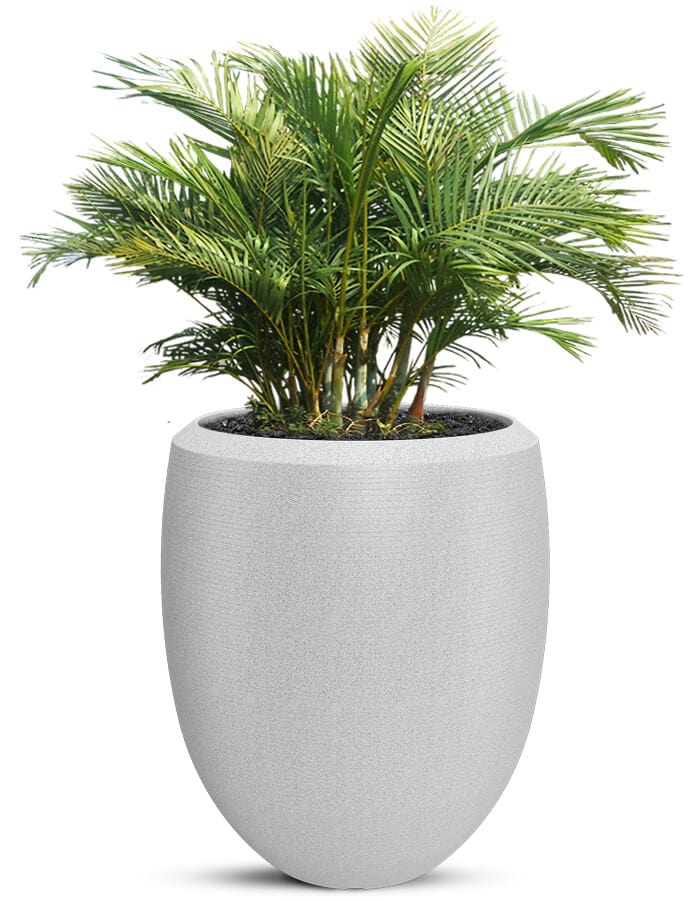 Enzo Large Planter