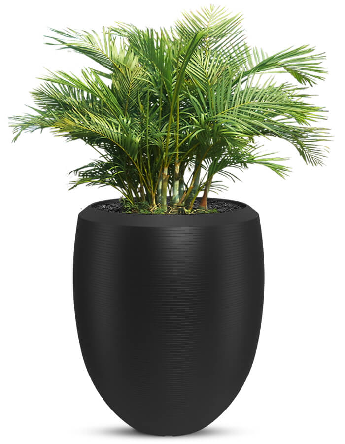 Enzo Large Planter