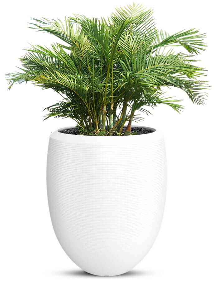 Enzo Large Planter