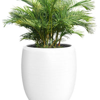 Enzo Large Planter