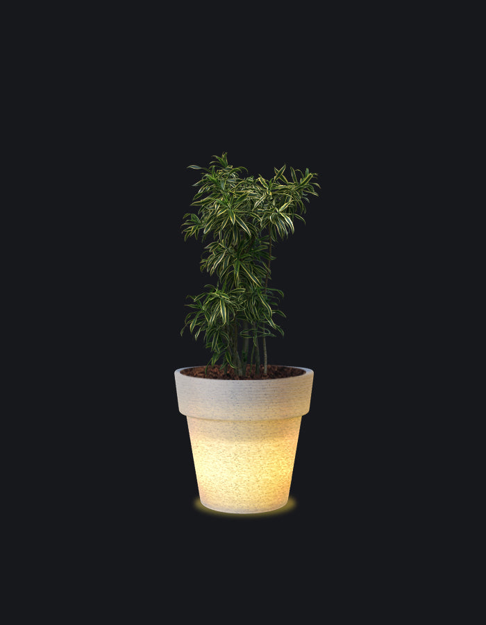 Eloisa LED Planter