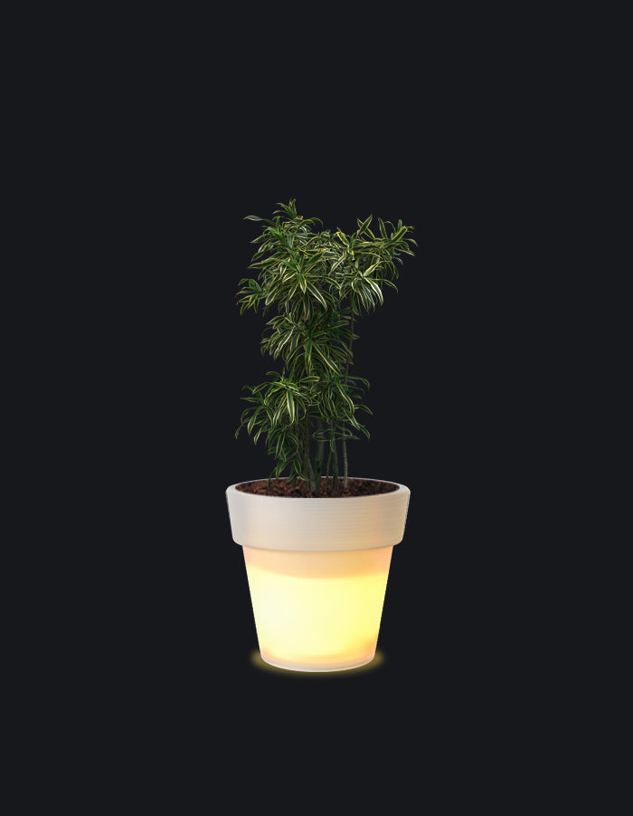 Eloisa LED Planter