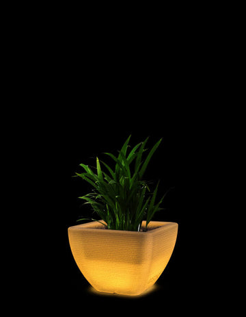 Orabella Small LED Planter