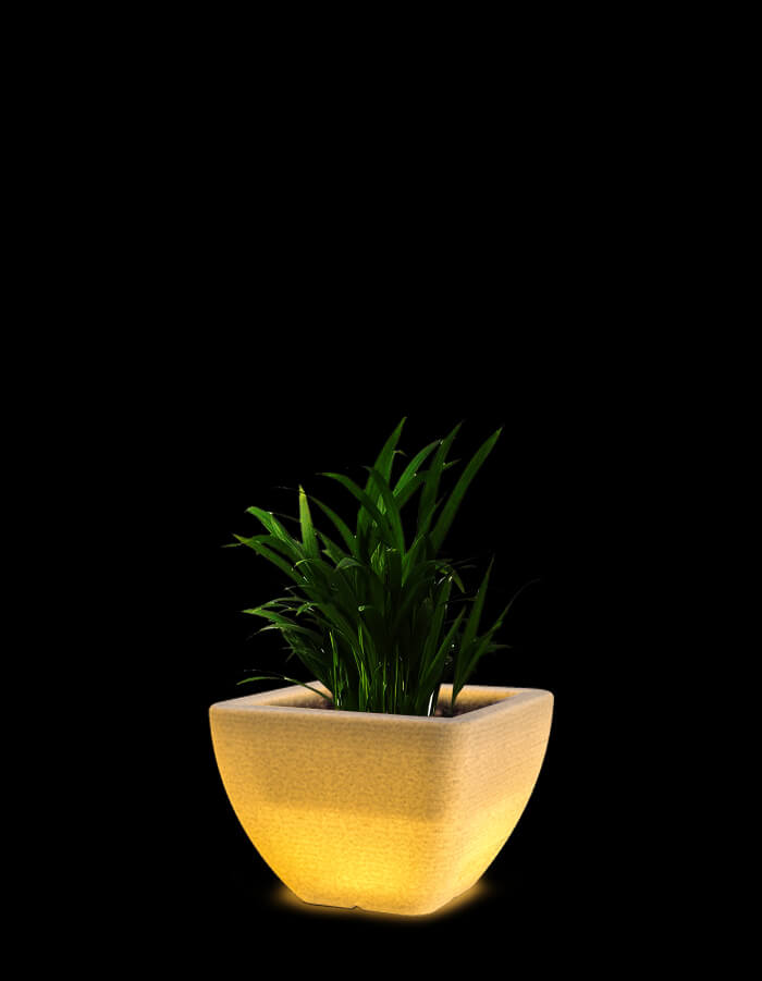 Orabella Small LED Planter