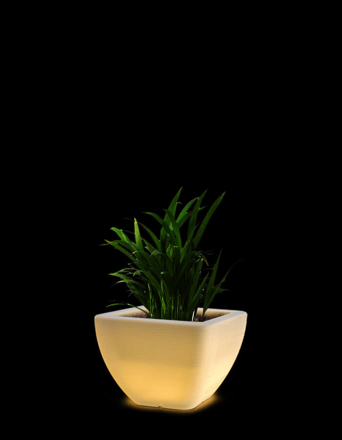 Orabella LED Planter