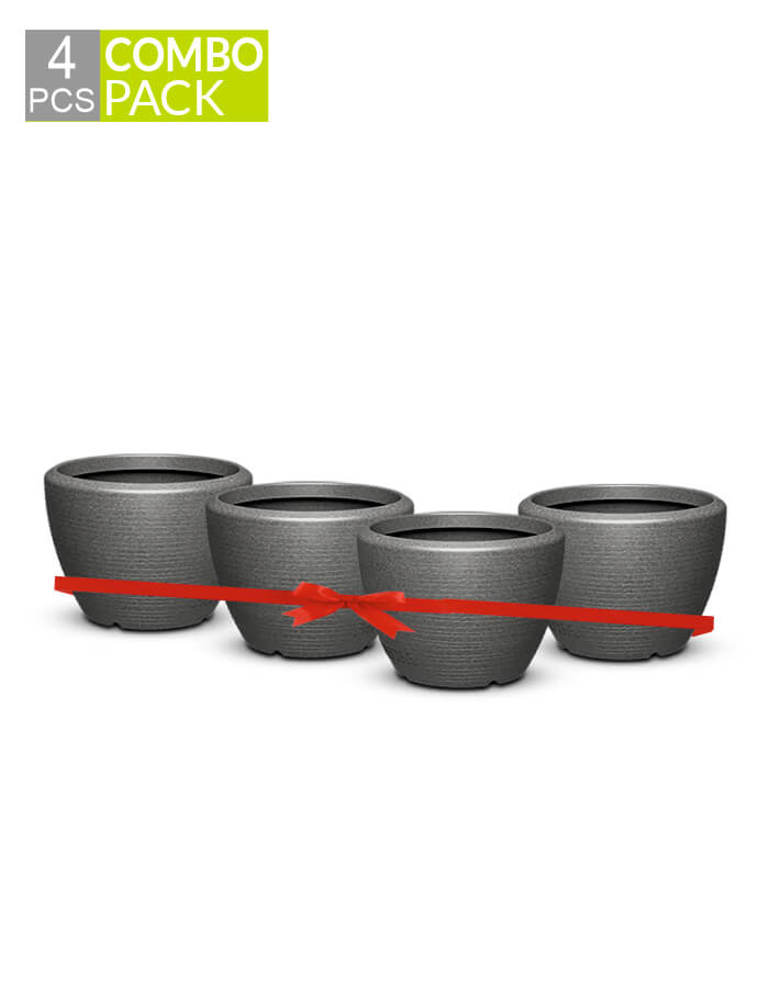 Piatto Small Planter Combo (pack of 4)